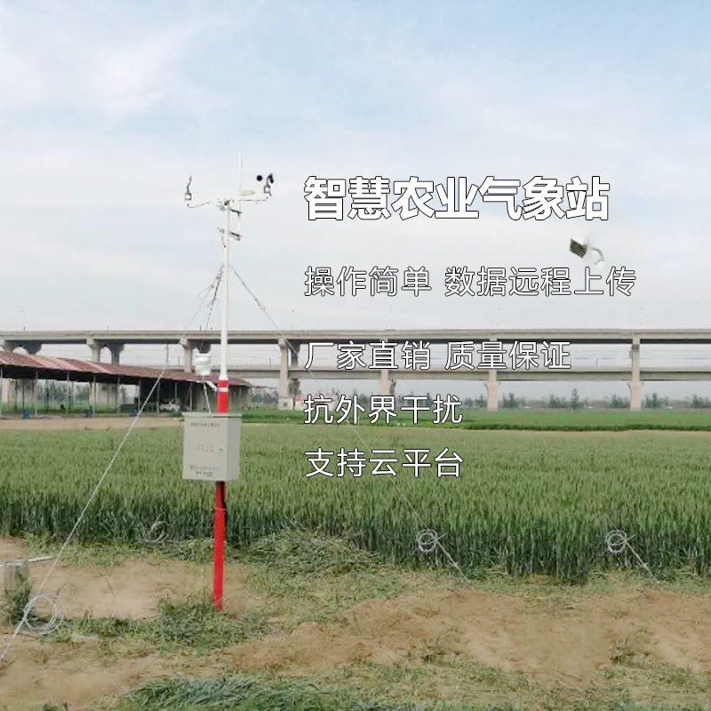 智慧農業(yè)綜合氣象參數監(jiān)測站 雨量溫濕度光照大氣壓風速風向觀測
